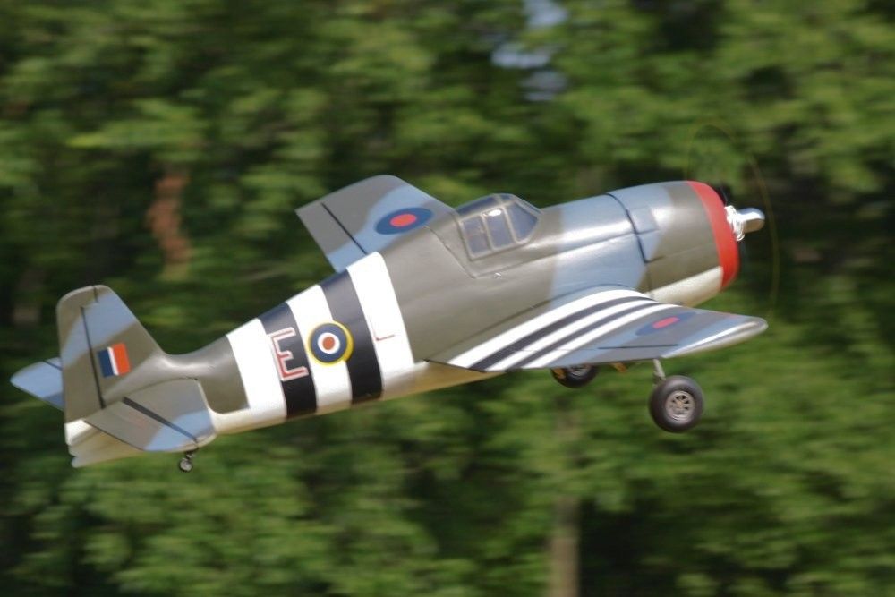 Warwick, NY 2013 BCSF Funfly